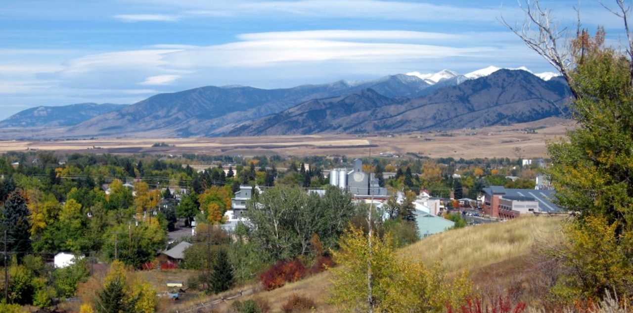 Montana pharmacy technician license