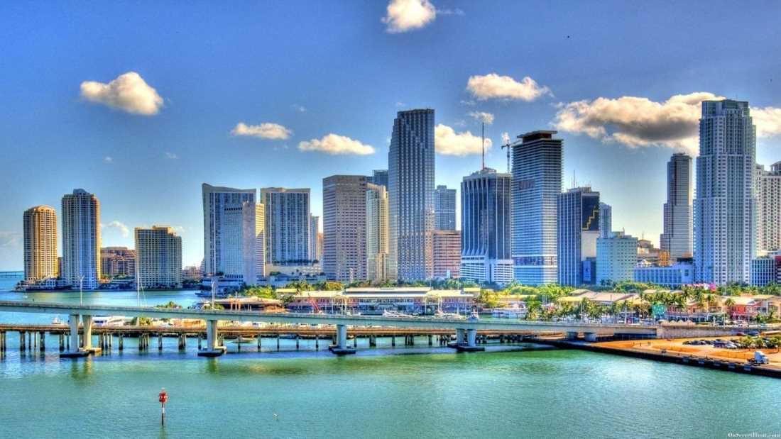 Florida pharmacy technician license